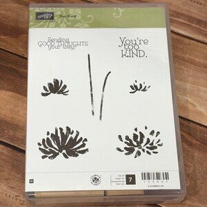 HTF STAMPIN UP! 130447 TOO KIND WOOD MOUNTED RUBBER STAMP SET OF 7 GOOD THOUGHTS